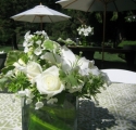 IMG_5807-80-900-600-100