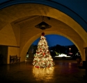 _MG_2332-60-900-600-100