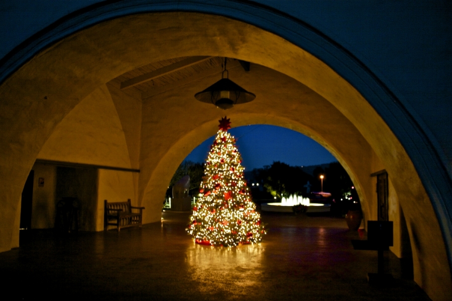 _MG_2332-60-900-600-100
